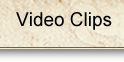 Video Clips